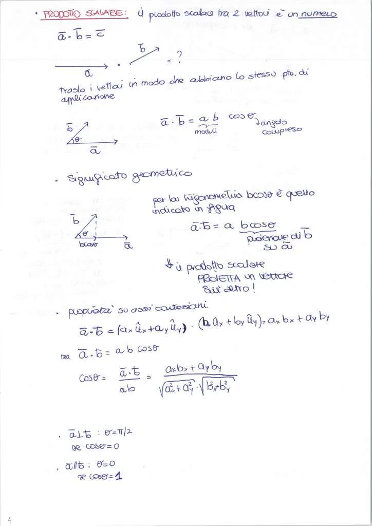 Vett Dispensa pag4